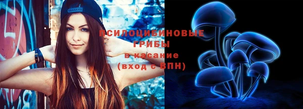 мет Арсеньев