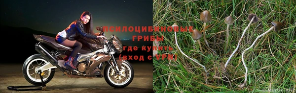 мет Арсеньев