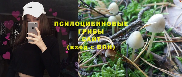 мет Арсеньев