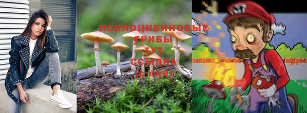 apvp Аркадак