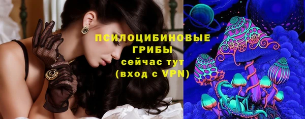 apvp Аркадак