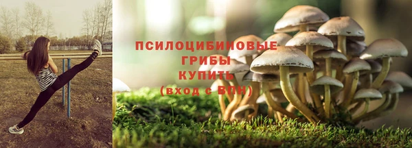 apvp Аркадак