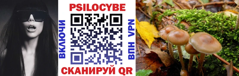 Галлюциногенные грибы Psilocybine cubensis  дарнет шоп  OMG рабочий сайт  Безенчук 
